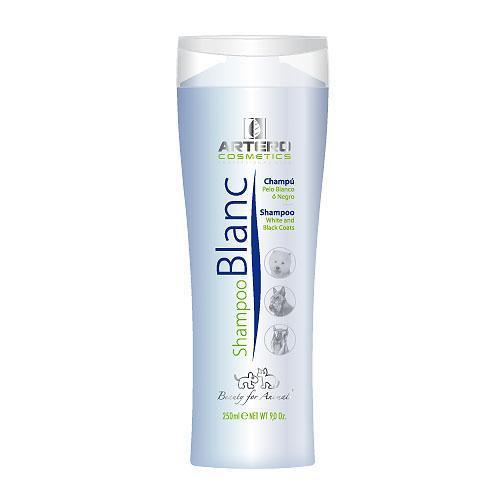 Artero Blanc Shampoo